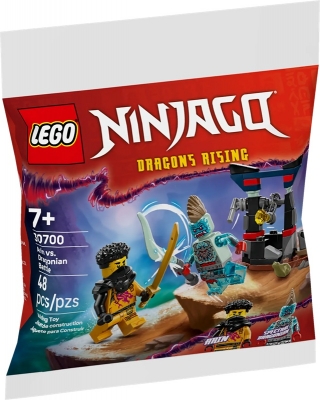 Arin vs. Dragonian Battle 30700 LEGO Ninjago